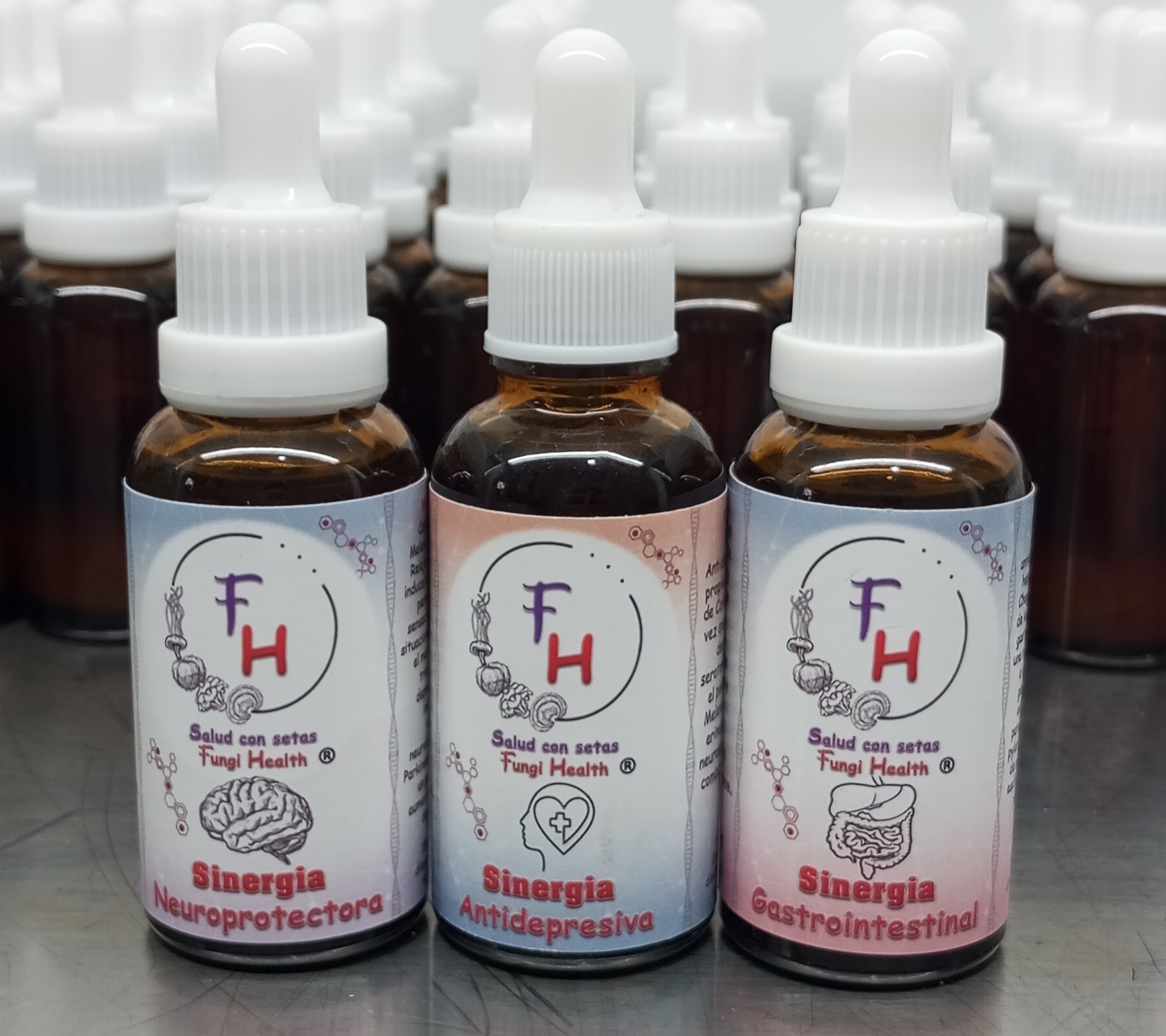 Sinergias Fungihealth