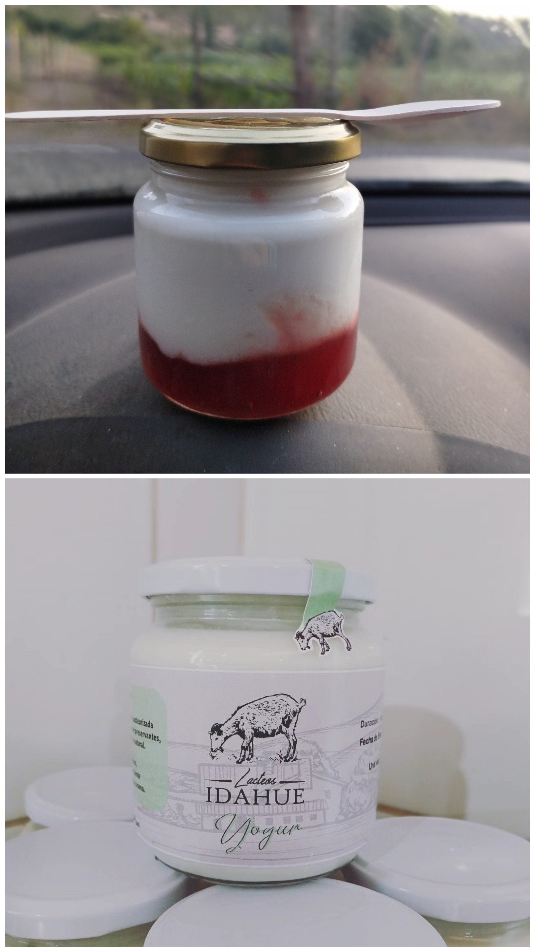Yogur Artesanal.